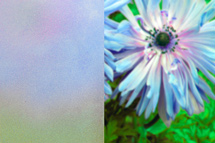 decormat #5